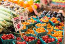 PipaSP inaugura feira orgânica e vegana em São Paulo