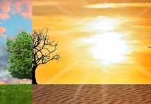 Conferência debaterá oportunidades e desafios da participação social na crise climática mudança climática, aquecimento global