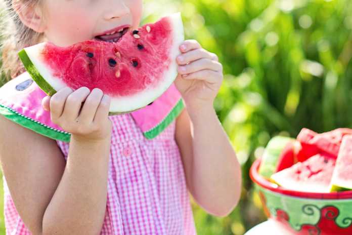 criança, alimentação saudável
