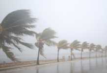 Enquanto Irma perde força, José avança no Caribe