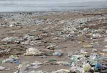 Sábado é Dia Mundial de Limpeza de Praias e Rios