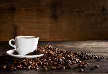 Sustentabilidade na cafeicultura é tema de evento em Minas Gerais