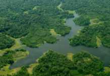Amazônia: um Saara no futuro?