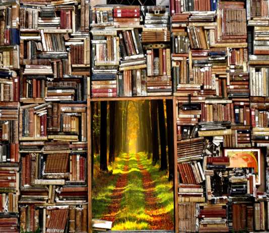 Livro – a janela da liberdade de expressão