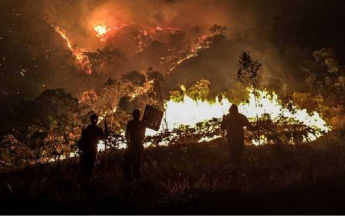fogo-chapada2 bbc
