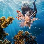red-sea-2613882_1280
