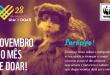 Hoje é Dia de Doar!