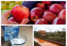 Alimentos brasileiros com alto índice de agrotóxicos e 2 anos da tragédia de Mariana