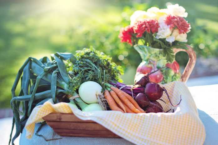 vegetables-2485056_1920
