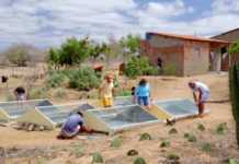 Dessalinizador solar torna 16 litros de água salobra em potável