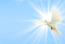 Hoje é Dia Mundial da Paz