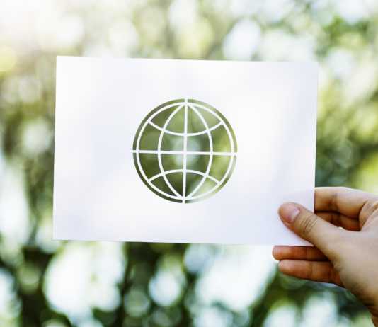 A paradiplomacia ambiental na COP23