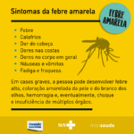 amarela sintomas
