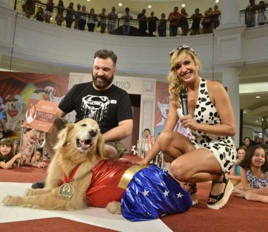 Pet Day: desfile de cães, feira de adoção, exposição, palestra e oficinas