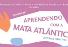 SOS Mata Atlântica promove oficinas criativas em São Paulo