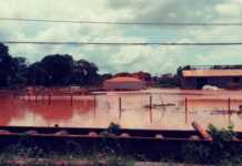 Fevereiro: evento de orgânicos e desastre ambiental