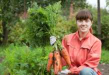 Mulheres feministas no movimento agroecológico