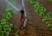 Santa Cruz do Rio Pardo recebe 1º Encontro de Agricultura Sustentável