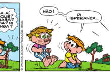 Conheça o projeto Turma da Árvores