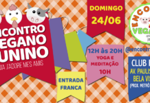 Avenida Paulista terá festa junina vegana neste domingo