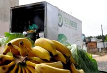 Feira promove troca de recicláveis por alimentos frescos