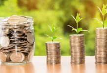 Brasil pode ser líder em desenvolvimento sustentável, afirmam cientistas bioeconomia