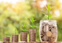 Green Rio promove summit sobre bioeconomia em outubro investimentos, moedas, dinheiro, economia verde