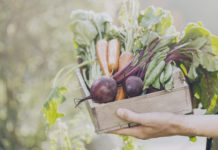 Líderes do setor de produtos orgânicos e naturais compartilham experiências em webinar