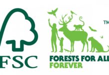 Brasil é 9º país com mais empresas “selo verde”
