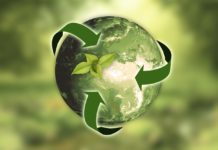 São Caetano terá feira sustentável