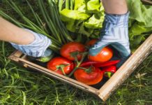 Janeiro: Cuidados com a alimentação e combate à poluição do plástico