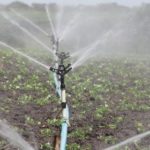 irrigacao-horta-agua