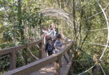 Brasil terá trilha de 18 mil km e parque ecológico suspenso