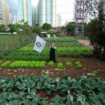 horta