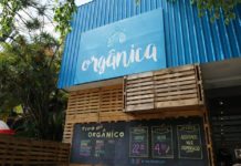 Produção orgânica é tema de evento gratuito em São Paulo