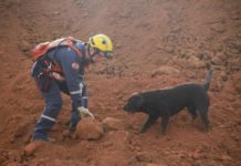 Startups se mobilizam para ajudar vítimas da Vale em Brumadinho