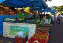 Mato Grosso do Sul terá primeira agrovila para agricultores familiares