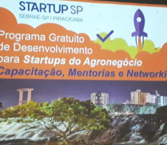 Conheça as startups vencedoras do programa do Sebrae 2019