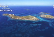 Lama da Samarco contaminou corais do Parque dos Abrolhos na Bahia