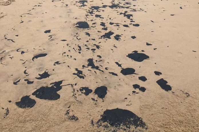 manchas de petróleo no Nordeste