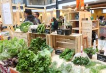 Sesc promove programação sobre orgânicos e alimentação saudável
