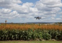 Fórum abordará transformação digital do agronegócio