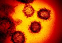 Coronavírus já infectou mais de 2.430 pessoas