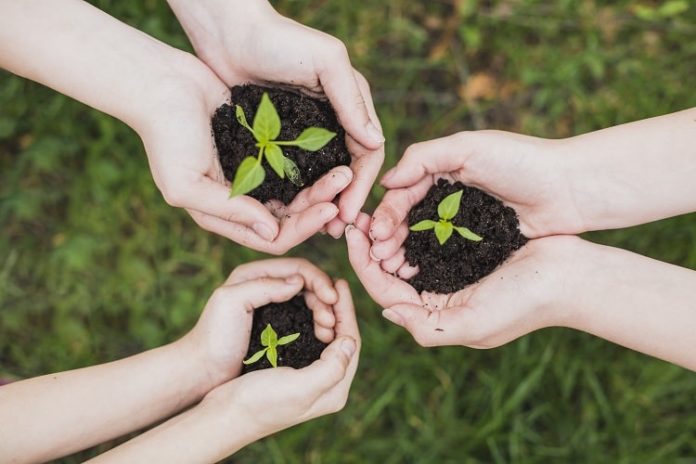sustentabilidade