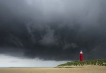 A insensatez tupiniquim