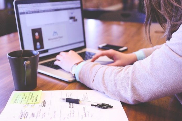 negócios, empresas, computador, digitar, online, business, estudante startups