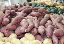 Empresa de snacks saudáveis doa alimentos orgânicos para vulneráveis
