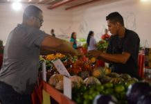 Campanha vai doar cestas agroecológicas a famílias vulneráveis