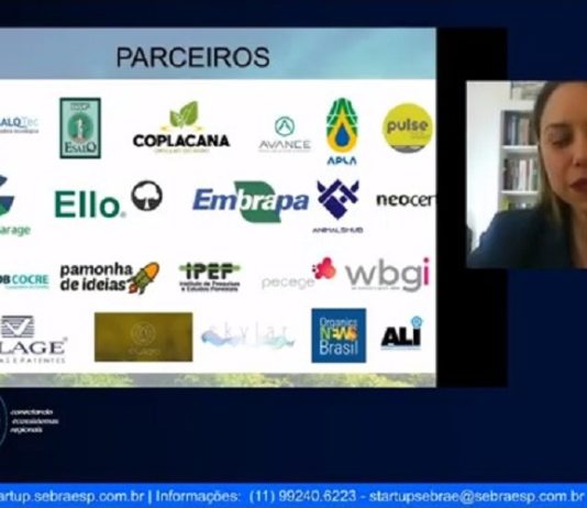 Sebrae promove Demo Day online para startups demo day sebrae