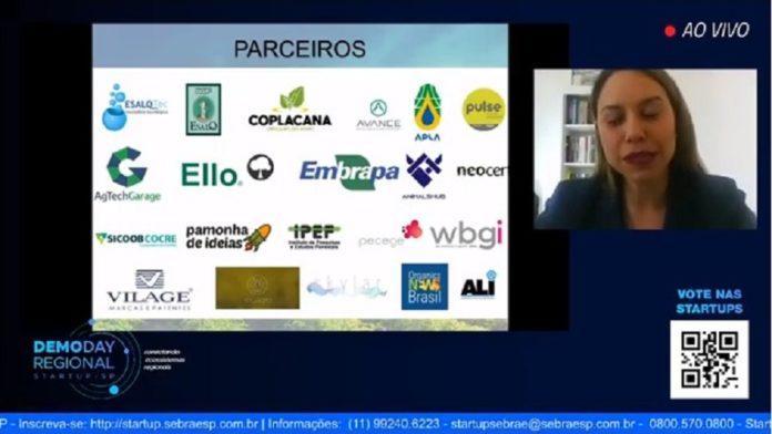 demo day sebrae